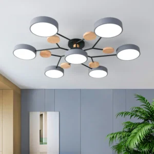 Modern 3 Different Colors LED Chandelier